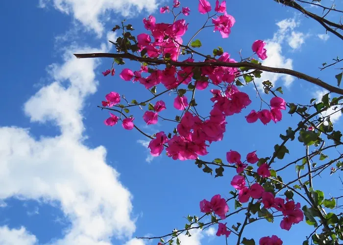 Carabeo 2000 3.3 Апартаменты